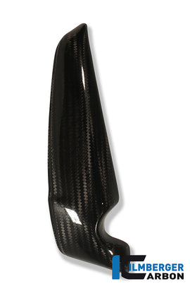 HARLEY-DAVIDSON VRSC-DX Night Rod Special (1130cc) (2007-2017) Ilmberger Carbon Radiator Cover (Left)