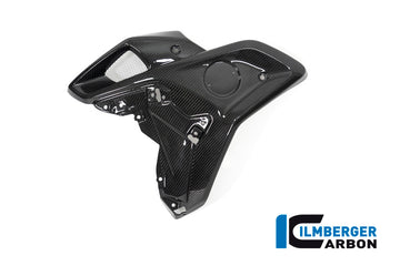 BMW R1250GS (2019-2023) Ilmberger Carbon Airtube (For Original Stainless Steel Deflector) (Left)