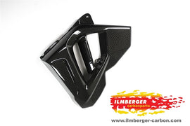 BMW F800R (2015-2019) Ilmberger Carbon Radiator Cover (left Side)