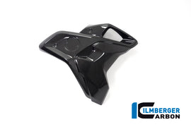 BMW R1250GS (2019-2023) Ilmberger Carbon Airtube - Including Flap (Right)