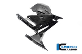 BMW S1000R Naked (2021-2024) Ilmberger Gloss Carbon Radiator Cover Right Side