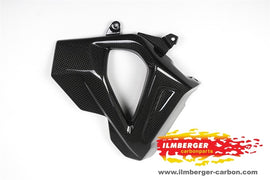 BMW F800R (2015-2019) Ilmberger Carbon Radiator Cover (right Side)