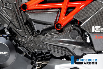 DUCATI Diavel 1260 (2019-2022) Ilmberger Carbon Cambeltcover Horizontal Cylinder - Gloss Finish