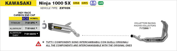 Kawasaki Ninja 1000 SX Racing collectors