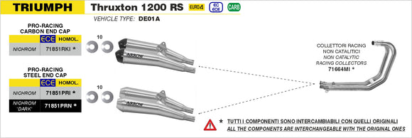 Triumph THRUXTON 1200 RS Nichrom Pro-Racing silencers (right & left)