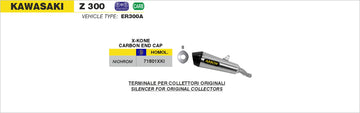 Kawasaki Z 300 GP2 "Dark" silencers kit - 0