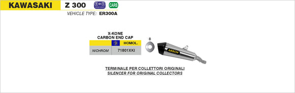 Kawasaki Z 300 GP2 "Dark" silencers kit