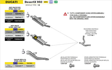 Ducati Desert X 950 Dakar Replica silencer racing - 0