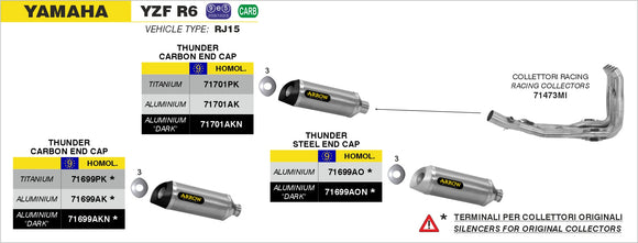 Yamaha YZF R6 Racing collectors 4:2:1