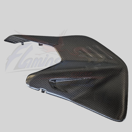 Flamingo Corse - DUCATI PANIGALE V4 / S 2025 STREETFIGHTER V4 2025 Carbon Swingarm Insert