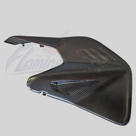 Flamingo Corse - DUCATI PANIGALE V4 / S 2025 STREETFIGHTER V4 2025 Carbon Swingarm Insert