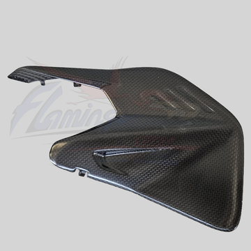 Flamingo Corse - DUCATI PANIGALE V4 / S 2025 STREETFIGHTER V4 2025 Carbon Swingarm Insert