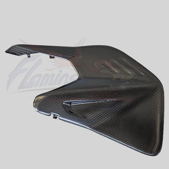 Flamingo Corse - DUCATI PANIGALE V4 / S 2025 STREETFIGHTER V4 2025 Carbon Swingarm Insert