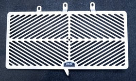 Stainless Steel Radiator Guard for Suzuki GSX1250FA '10-