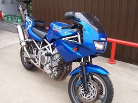 Crash Protectors - Classic Style for Yamaha TRX850