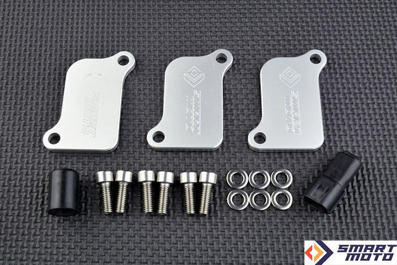 Triumph Sprint RS/ST 955i 1999-2004 AIS Valve Removal Kit with Block Off Plates