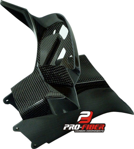 BMW S1000 RR (09-11) PRO FIBER CARBON RACE INTAKE WITH CLOCK SUPPORT