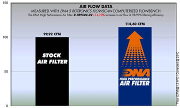 TRIUMPH THUNDERBIRD 1600 (10 - 16) DNA PERFORMANCE AIR FILTER - P3Tuning